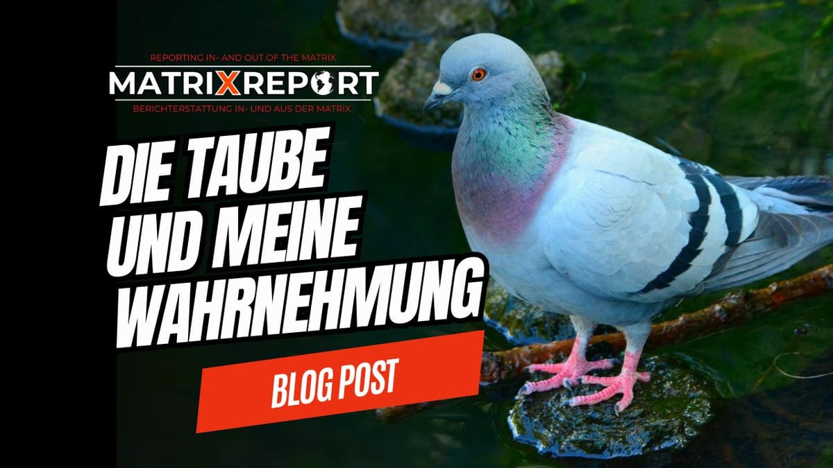 Wie wir das Leben mit unserer Wahrnehmung unterstützen können Post feature image