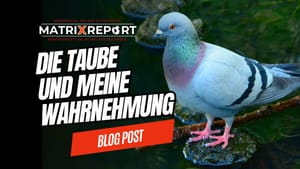 Wie wir das Leben mit unserer Wahrnehmung unterstützen können feature image